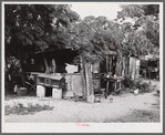 Christiansted (vicinity), Saint Croix Island, Virgin Islands. Chicken coops constructed with odds and ends by occupants of the leper colony.