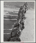 Siloam, Greene County, Georgia. Children at the school.