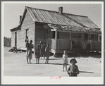 Oakland community, Greene County, Georgia. (vicinity). The family of Gus Wright, FSA (Farm Security Administration) client.