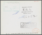 Oakland community, Greene County, Georgia. (vicinity). The family of Gus Wright, FSA (Farm Security Administration) client.