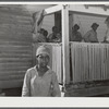 Oakland community, Greene County, Georgia. One of the children of Gus Wright, FSA (Farm Security Administration) family.