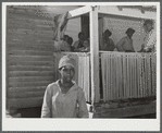 Oakland community, Greene County, Georgia. One of the children of Gus Wright, FSA (Farm Security Administration) family.