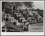 Penfield, Greene County, Georgia. Canned goods made by Doc and Julia Miller, Negro FSA (Farm Security Administration) clients.