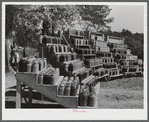 Penfield, Greene County, Georgia. Canned goods made by Doc and Julia Miller, Negro FSA (Farm Security Administration) clients.