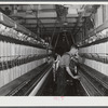 Greensboro, Greene County, Georgia. In the Mary-Leila cotton mill.