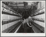 Greensboro, Greene County, Georgia. In the Mary-Leila cotton mill.