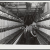 Greensboro, Greene County, Georgia. In the Mary-Leila cotton mill.