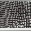 Greene County, Georgia. Canned goods put up by a Negro FSA (Farm Security Administration) family.
