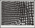 Greene County, Georgia. Canned goods put up by a Negro FSA (Farm Security Administration) family.