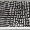 Greene County, Georgia. Canned goods put up by a Negro FSA (Farm Security Administration) family.