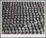 Greene County. Canned goods made by a Negro FSA (Farm Security Administration) family.