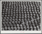 Greene County. Canned goods made by a Negro FSA (Farm Security Administration) family.
