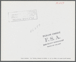 Greene County. Canned goods made by a Negro FSA (Farm Security Administration) family.