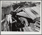 Edgar Jones, FSA (Farm Security Administration) Client, of Woodville, looks at one of his hogs, Greene County, Georgia.