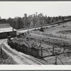 The garden on the farm of Mr. John Armour, FSA client, Meadowcrest Community, Greene County, Georgia.