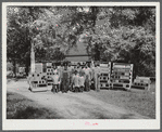 FSA (Farm Security Administration) family with the 1000 cans of fruit, vegetables, etc. they have canned for the winter. Near White Plains, Greene County, Georgia.