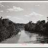 View of the Oconee River, Greene County, Georgia.