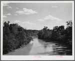 View of the Oconee River, Greene County, Georgia.