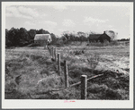 Fence recently built by FSA (Farm Security Administration) on a farm near Carey Station, Greene County, Georgia.