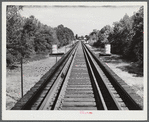 Railroad tracks, Greene County, Georgia. Across the Oconee river.