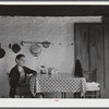 Mr. Lloyd Clements, FSA (Farm Security Administration) borrower living on the Jackson place, near Mosquito Crossing, Greene County, Georgia.
