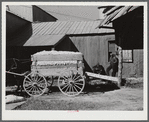 At the cotton gin on ginning at Siloam, Greene County, Georgia.