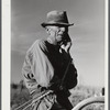 Mr. W.H. Holmes, a renter on the Wray place, plowing sweet potatoes, Greene County, Georgia.