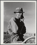 Mr. W.H. Holmes, a renter on the Wray place, plowing sweet potatoes, Greene County, Georgia.
