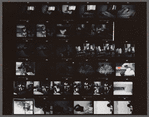 Contact sheet of James Baldwin in bed