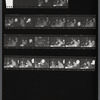 Contact sheet of James Baldwin with Jean Genet at American Center