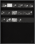 Contact sheet of James Baldwin with Jean Genet at American Center