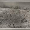 Cross section of land showing a very thin layer of soil over a hard stony surface. Brown County, Indiana.