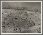 Cross section of land showing a very thin layer of soil over a hard stony surface. Brown County, Indiana.