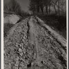Poor country road typical of this area. Brown County, Indiana.