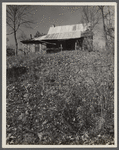 Abandoned house of a resettled farmer who is now moved into a neighboring county. Brown County, Indiana.