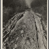Poor country road typical of this area. Brown County, Indiana.