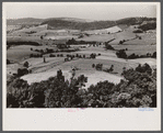 Good farming land, Garrett County, Maryland.