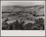 Good farming land, Garrett County, Maryland.