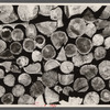 Cut logs, Garrett County, Maryland.