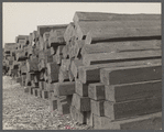 Railroad ties painted with creosote, Brown County, Indiana.