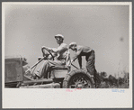 Luke Weldon, small farmer, and his son using ancient Buick (transformed by cutting down the chassis) as improvised tractor. Automobile bought in second hand car lot. Cost fifteen dollars. New Bridgetown, New Jersey.