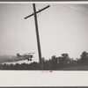 Dusting planes fly mainly at dawn and dusk when the wind dies down. Their extreme proximity to the ground can turn any sudden gust of wind into an accident.