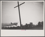 Dusting planes fly mainly at dawn and dusk when the wind dies down. Their extreme proximity to the ground can turn any sudden gust of wind into an accident.