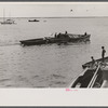 Trap fishing boats. These boats are diesel-powered and are used to go in the early morning to collect the fish in the line of "traps" or "wiers" which are stretched along the coast. Provincetown, Massachusetts.