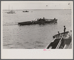 Trap fishing boats. These boats are diesel-powered and are used to go in the early morning to collect the fish in the line of "traps" or "wiers" which are stretched along the coast. Provincetown, Massachusetts.