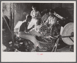 Fishermen in repair shack repairing nets and sharpening tools. The twine of these nets is impregnated with coal tar;