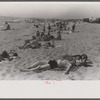 Beach scene at "New Beach," the most popular beach near Provincetown. Regular bus service makes this beach easily available; lack of bath houses causes a great deal of picturesque dressing and undressing in and behind parked cars. Provincetown, Mass.