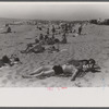 Beach scene at "New Beach," the most popular beach near Provincetown. Regular bus service makes this beach easily available; lack of bath houses causes a great deal of picturesque dressing and undressing in and behind parked cars. Provincetown, Mass.
