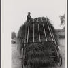 Hay harvest near Pine Grove Mills, Pennsylvania.