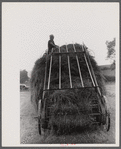 Hay harvest near Pine Grove Mills, Pennsylvania.